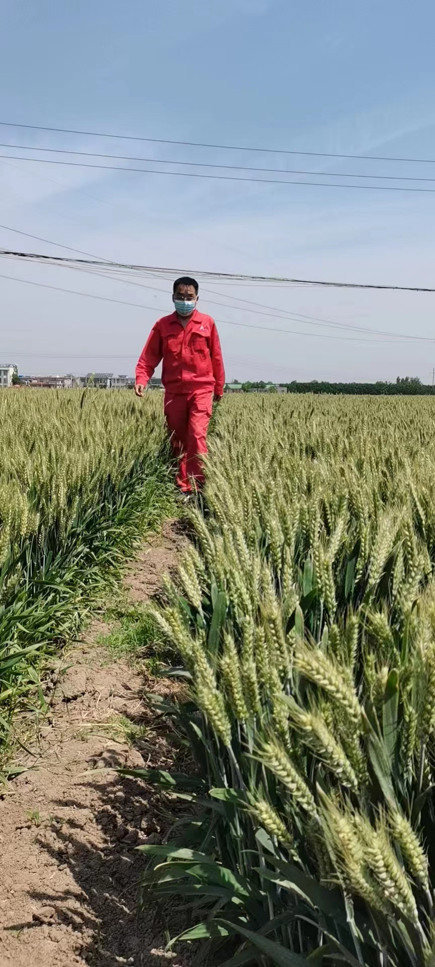 用心守護(hù)管道安全，全力保障豫北能源“生命線”——安彩能源開(kāi)展安全檢查百里行主題黨日活動(dòng)